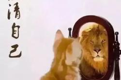 雷速体育比分官网直播-梵蒂冈队精神状态好，迈向下一场成功的简单介绍